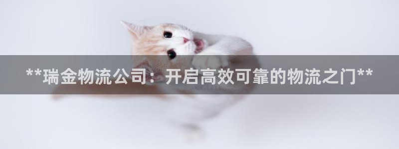 28圈模拟器在线使用：**瑞金物流公
