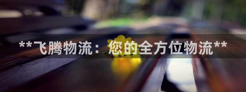 28圈pg麻将胡了2老是空转：**飞