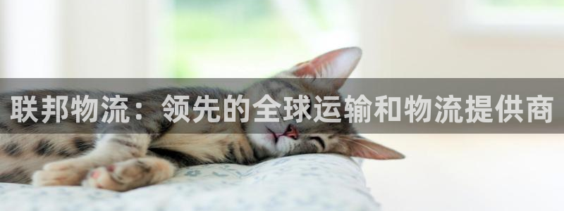 28圈龙虎：联邦物流：领先的全球运输
