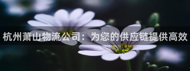 28圈是什么软件：杭州萧山物流公司：