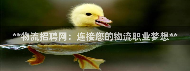 28圈加拿大28：**物流招聘网：连