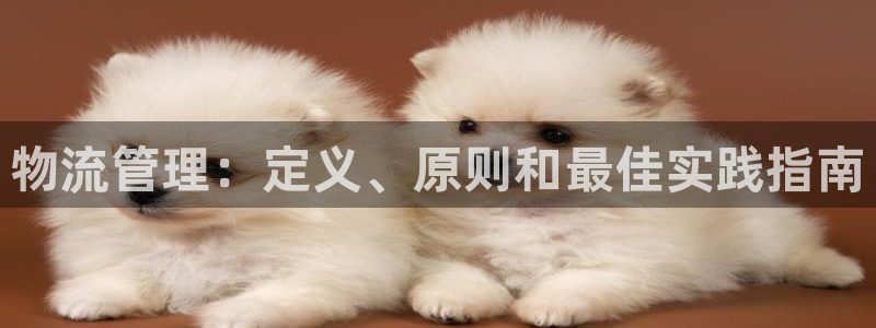 28圈充值：物流管理：定义、原则和最