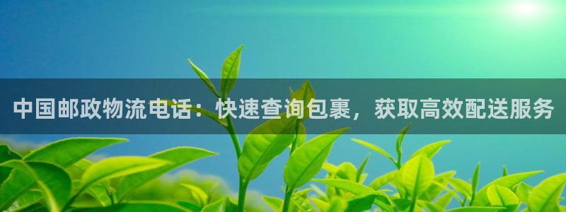 28圈注册步骤：中国邮政物流电话：快