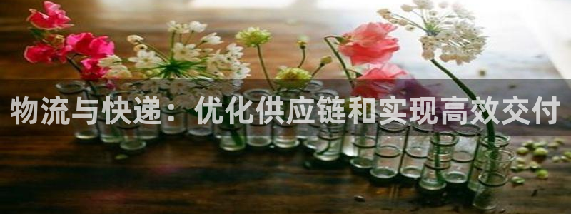 28圈官网注册：物流与快递：优化供应