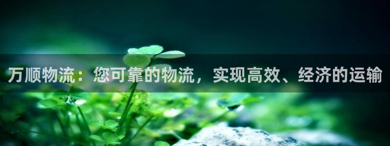 28圈充值不到账怎么办：万顺物流：您