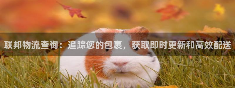 28圈预测加拿大师准：联邦物流查询：