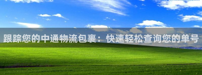 28圈官方网站是多少：跟踪您的中通物