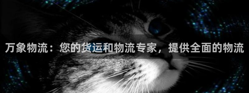 28圈注册网页：万象物流：您的货运和