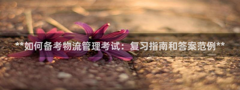 28圈注册网站谁有：**如何备考物流