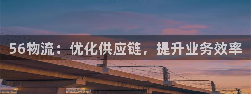 28圈登录网：56物流：优化供应链，