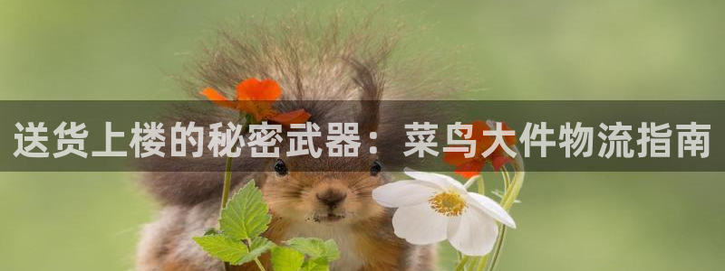 自行车28圈是什么意思：送货上楼的秘