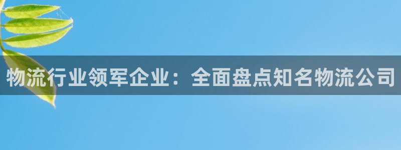 28圈提现不到账：物流行业领军企业：