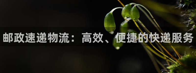28圈p扣款什么意思