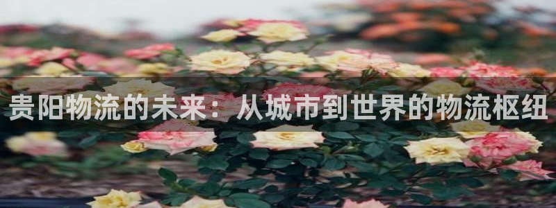 28圈赌博软件正规吗