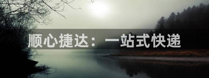 28圈开奖预测