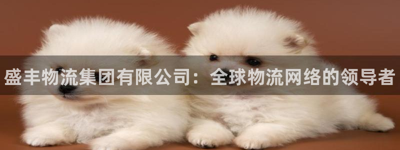 28圈加拿大真假怎么看：盛丰物流集团有限公司：全球物流网络的