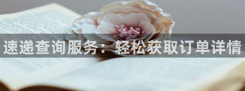 28圈注册步骤：速递查询服务：轻松获