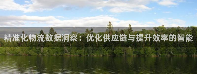 28圈注册平台：精准化物流数据洞察：