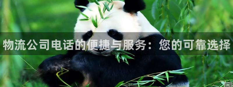 28圈下载二维码怎么弄：物流公司电话