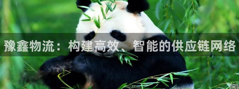 28圈app赢了500万：豫鑫物流：构建高效、智能的供应链网