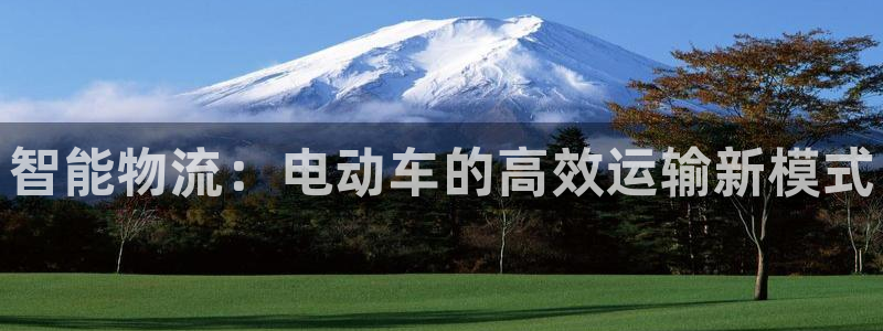 加拿大28圈数字规则：智能物流：电动