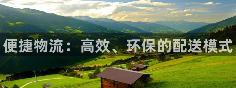 28圈官网多少：便捷物流：高效、环保