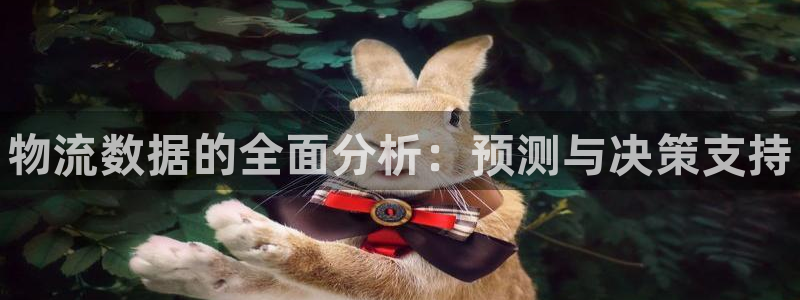 28圈.ccmpc正版：物流数据的全