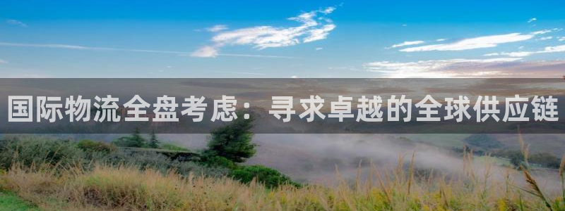 28圈分分28输了能不能退：国际物流