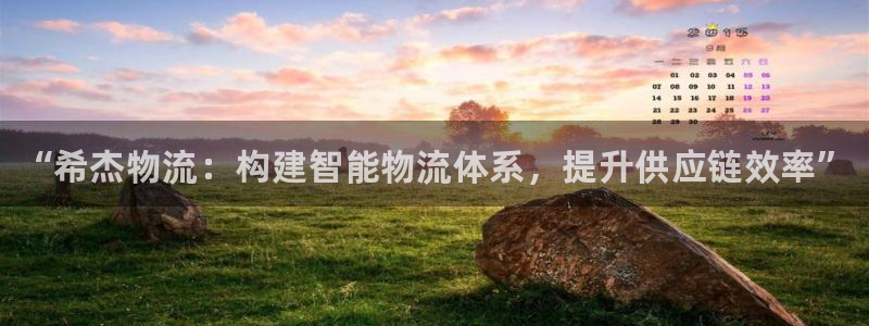 28圈.ccm2024：“希杰物流：