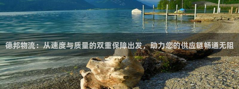 28圈游戏链接：德邦物流：从速度与质