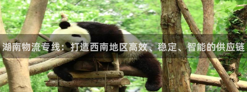 28圈加拿大2.8预测在线预测：湖南