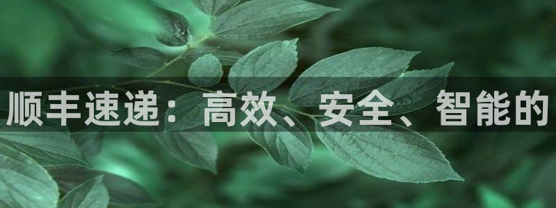 28圈官网预测：顺丰速递：高效、安全