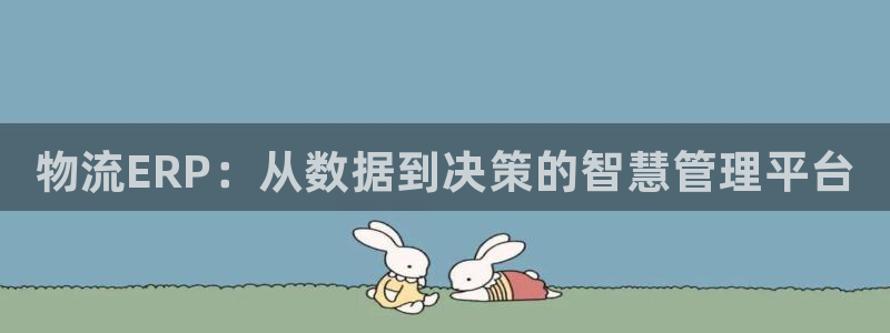 28圈是正规软件吗：物流ERP：从数