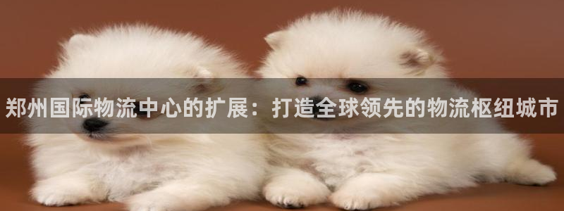 28圈网站怎么注册：郑州国际物流中心