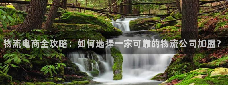 28圈加拿大6.0：物流电商全攻略：