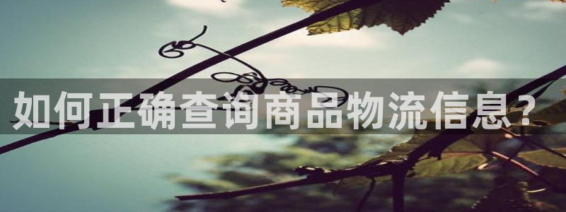 28圈怎么注册下载:如何正确查询商品