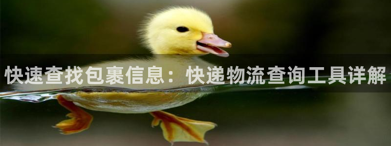 28圈注册平台：快速查找包裹信息：快