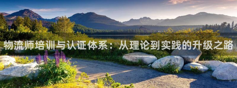 28圈能赢钱吗：物流师培训与认证体系