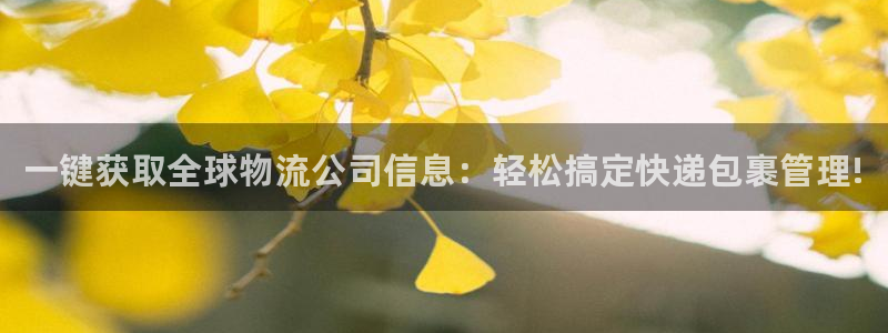 28圈链官网：一键获取全球物流公司信