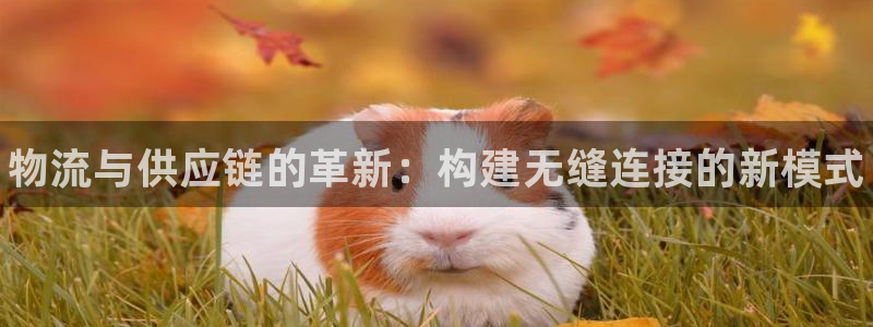 28圈.ccmpc28:物流与供应链