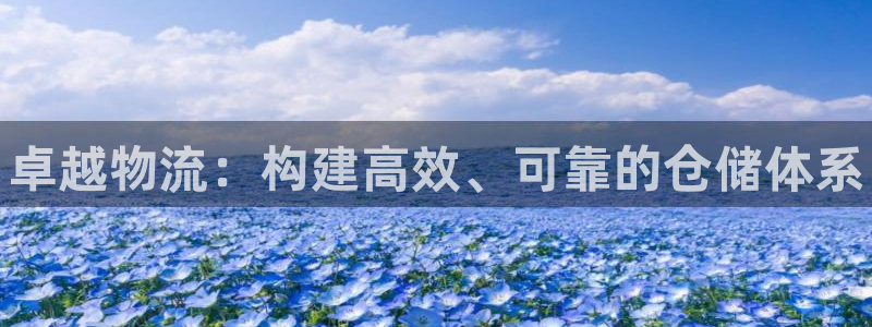 28圈加拿大：卓越物流：构建高效、可