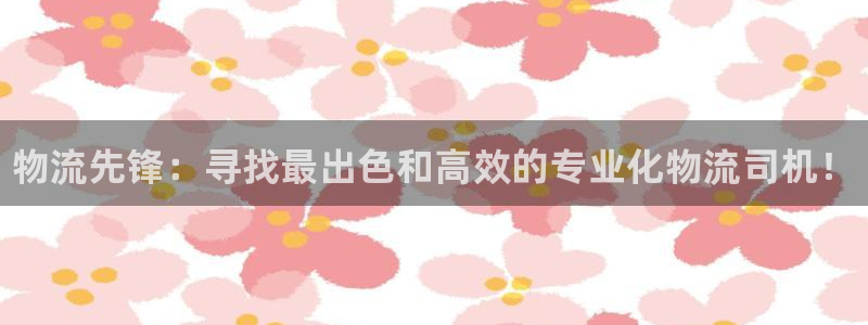 28圈登录：物流先锋：寻找最出色和高