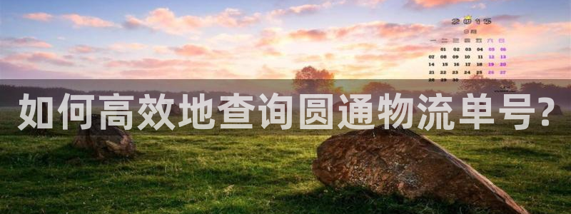 28圈人头费:如何高效地查询圆通物流